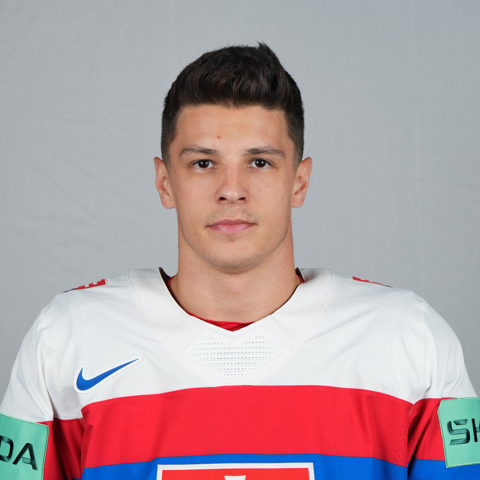 Koch Patrik